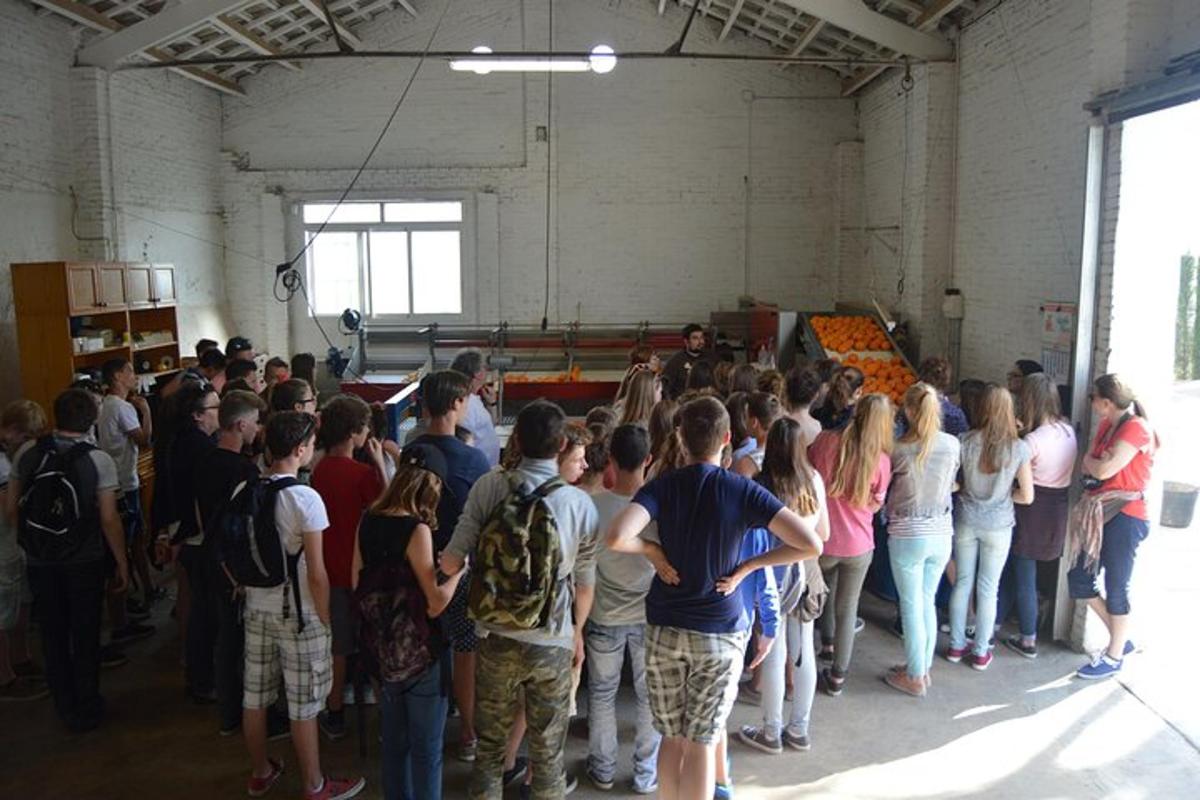 a large group of people standing in a room