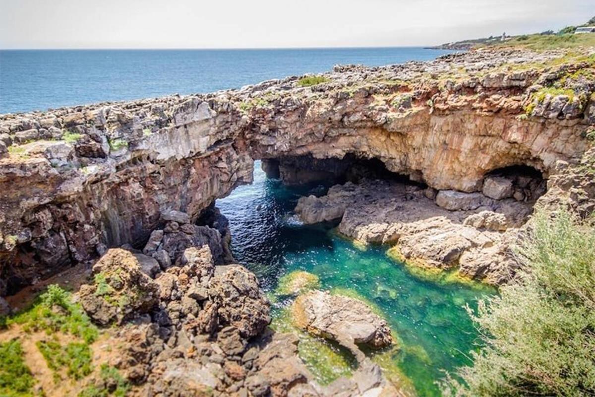 an aerial view of a cave on a rocky coast