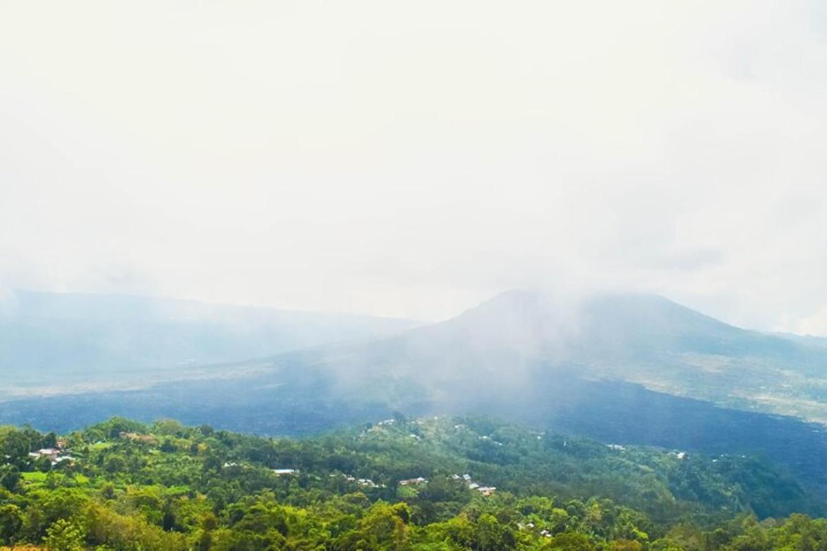 pogled na dolinu s drvećem i planinom