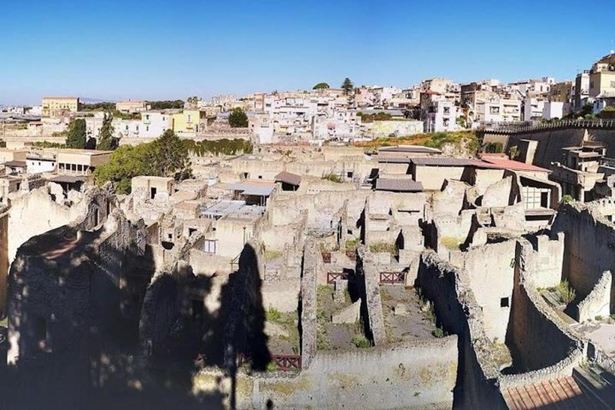 una vista aerea di un villaggio con case ed edifici