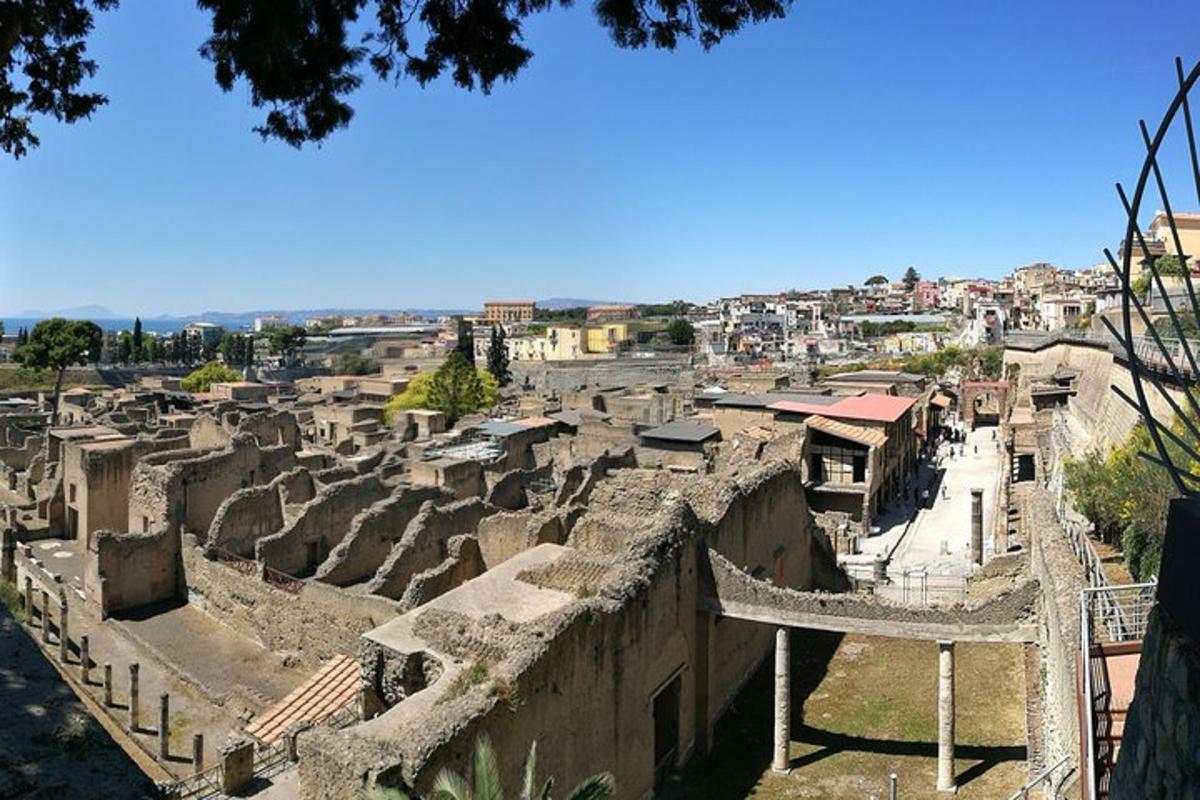 una vista di un villaggio con una città sullo sfondo