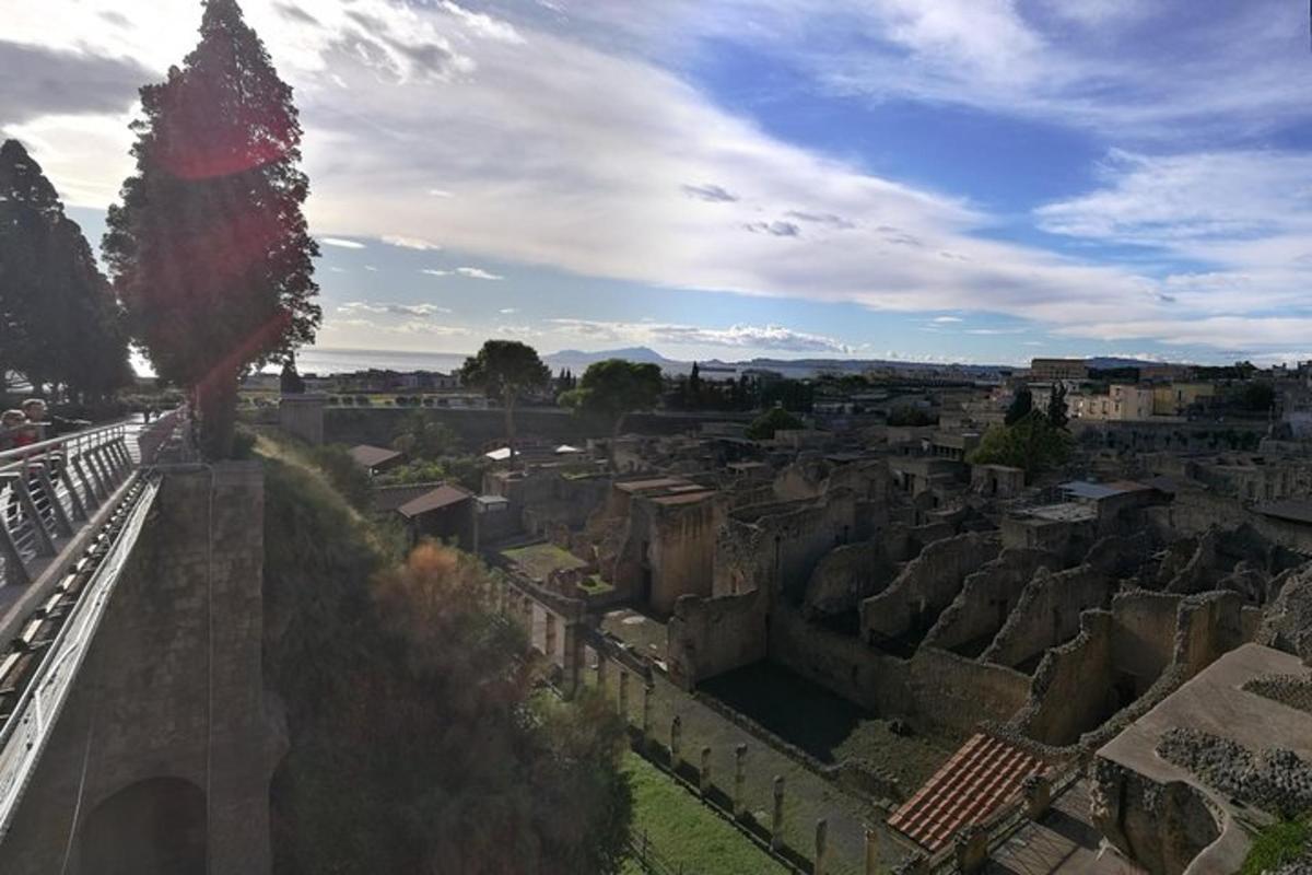 una vista aerea di una città antica con un albero