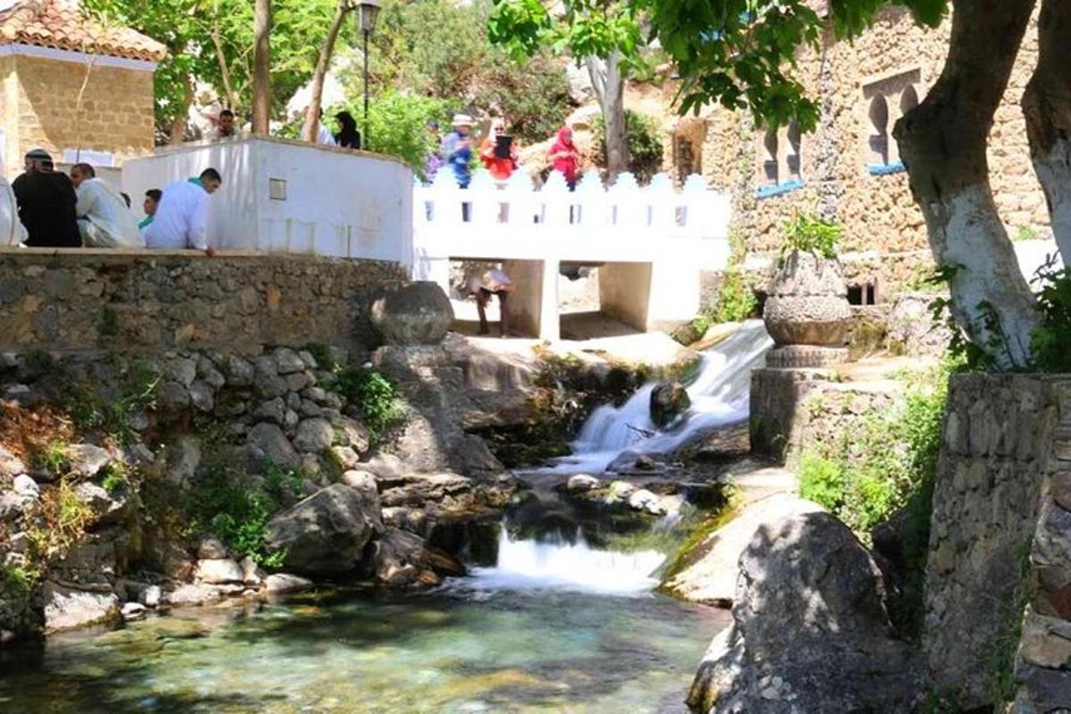 μια γέφυρα πάνω από ένα ρυάκι με ανθρώπους να στέκονται σε έναν φράχτη