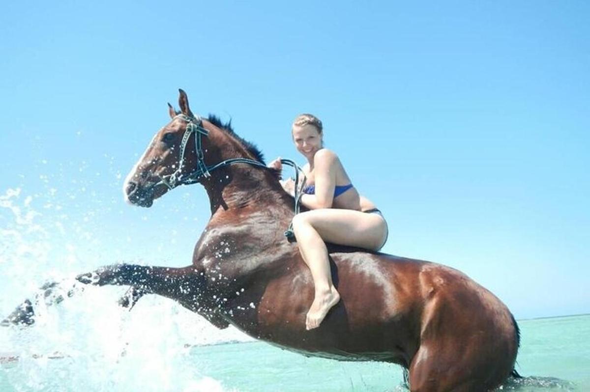 una dona en bikini muntant a cavall a l'oceà