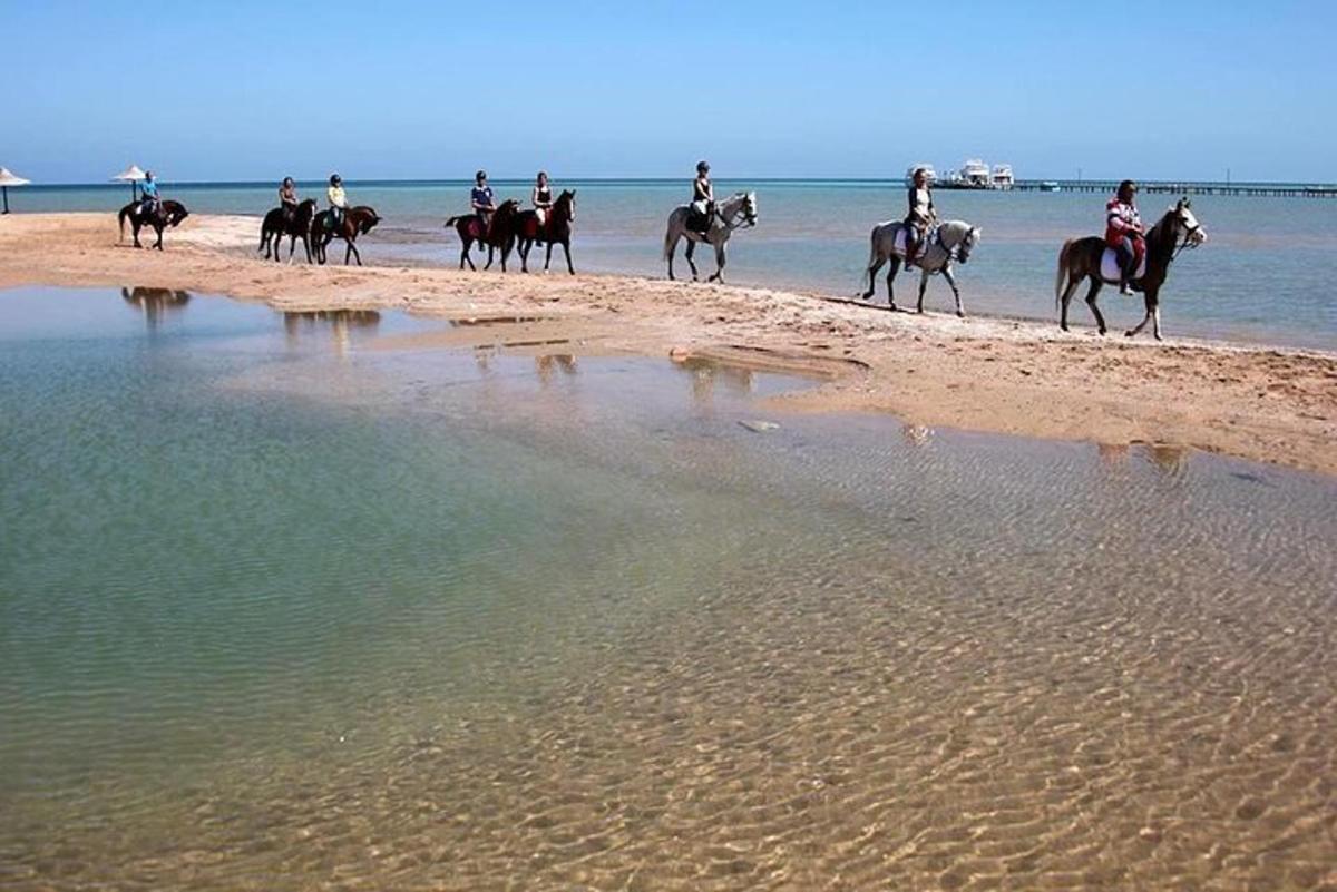 un grup de oameni călare pe cai pe plajă