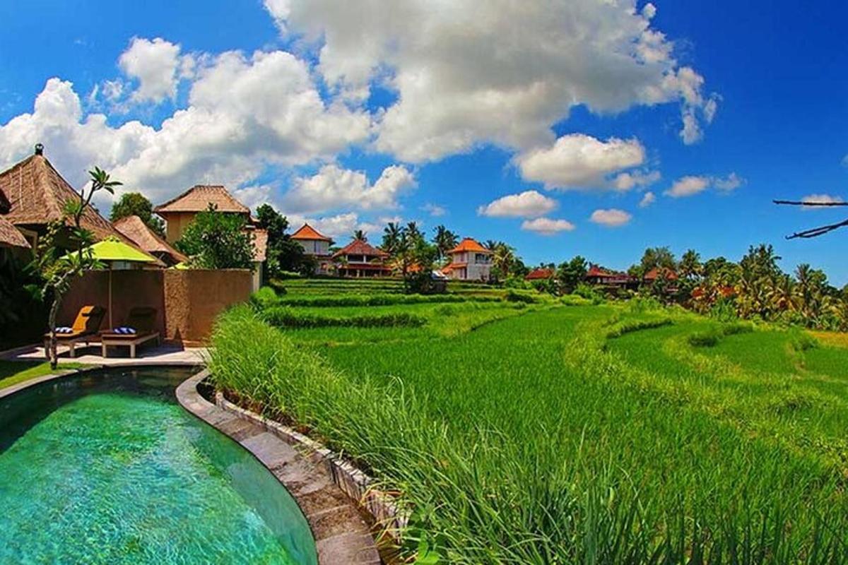 kolam renang di samping lapangan hijau dengan rumah-rumah