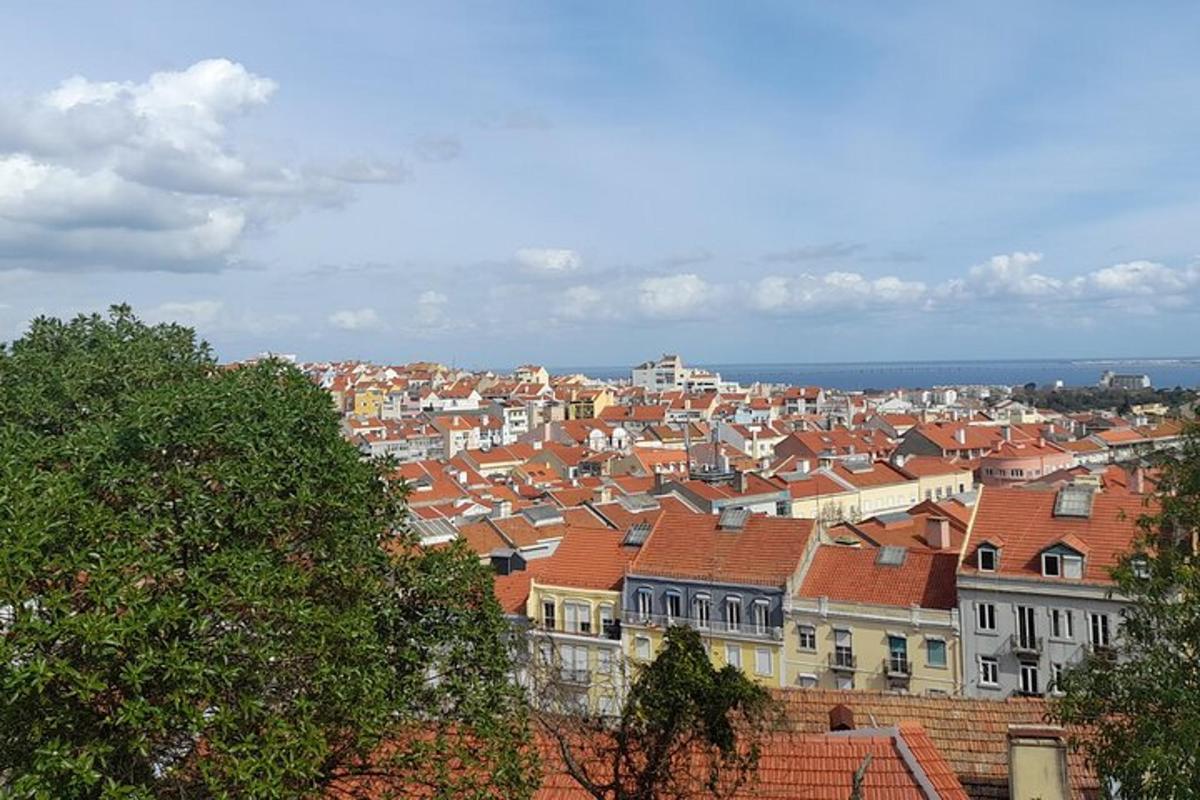 pohled na město s domy a střechami