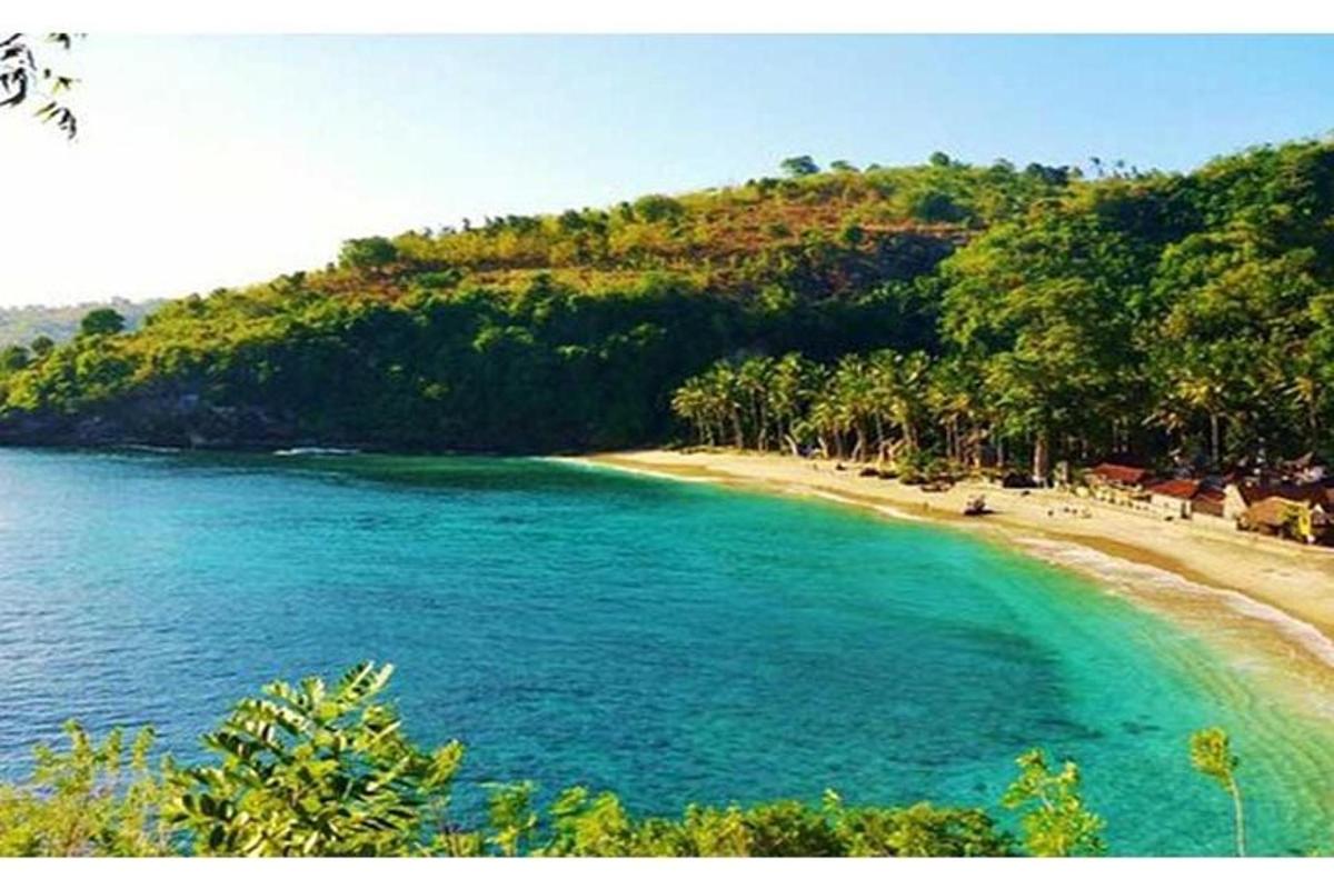 egy kék vízzel és fákkal teli strand egy dombon