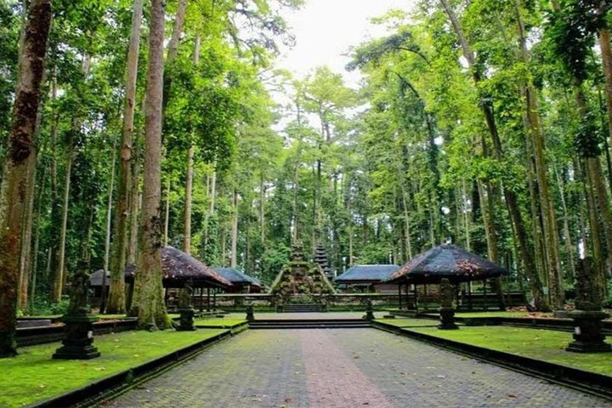 een pad in een park met bomen en parasols