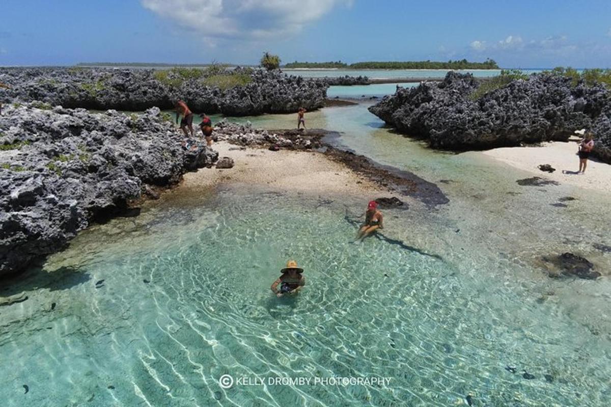 a group of people swimming in a body of water