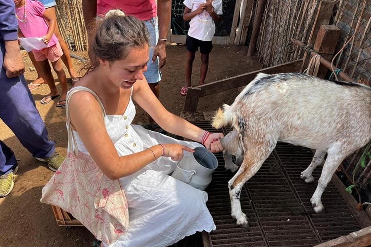 žena hladí kozu v kleci