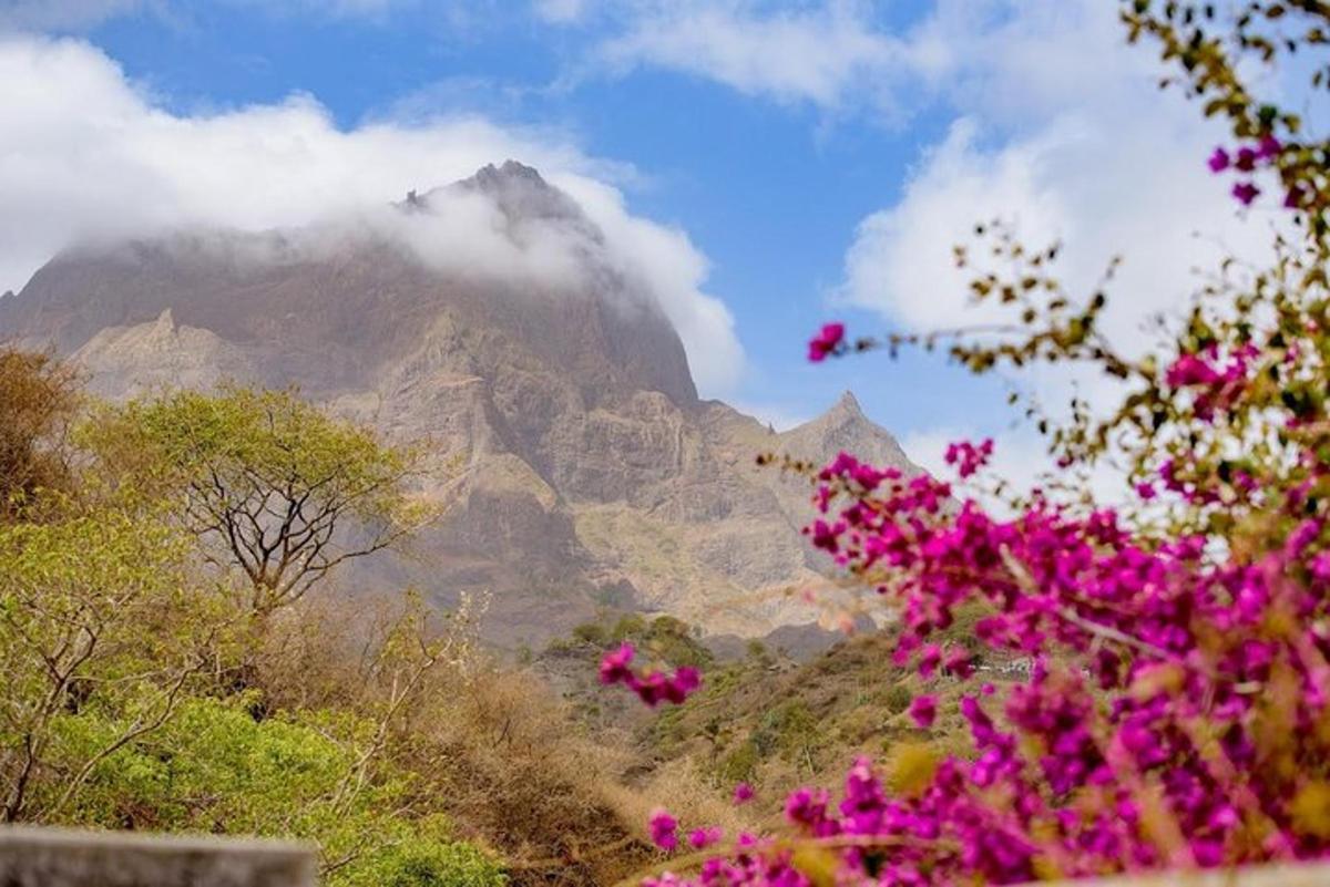 a mountain with pink flowers in front of it