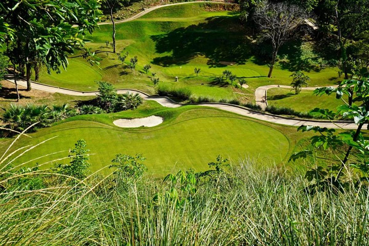 an aerial view of a green golf course