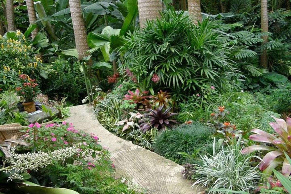 ein Garten mit vielen verschiedenen Pflanzenarten
