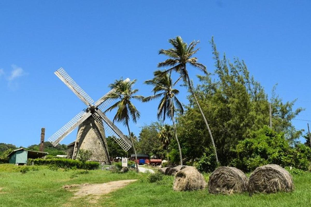 a windmill and palm trees in a field with hay