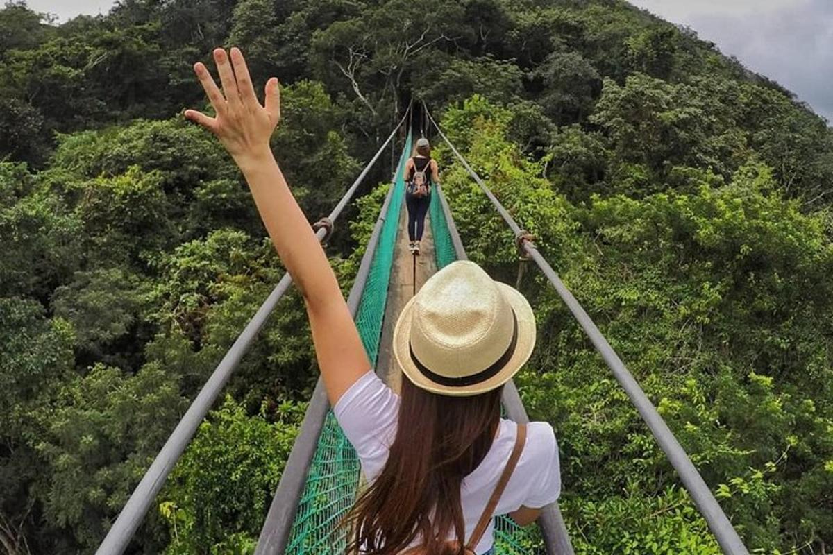 a woman crossing a suspension bridge in the jungle