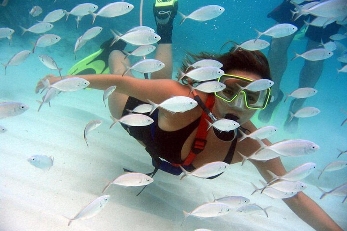a woman swimming in the water with a lot of fish