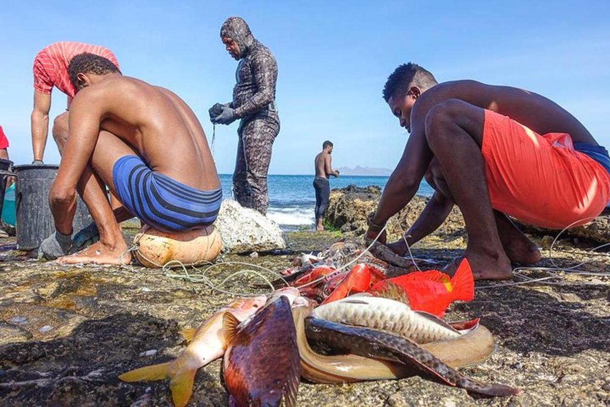 a group of men on a beach with a dead fish