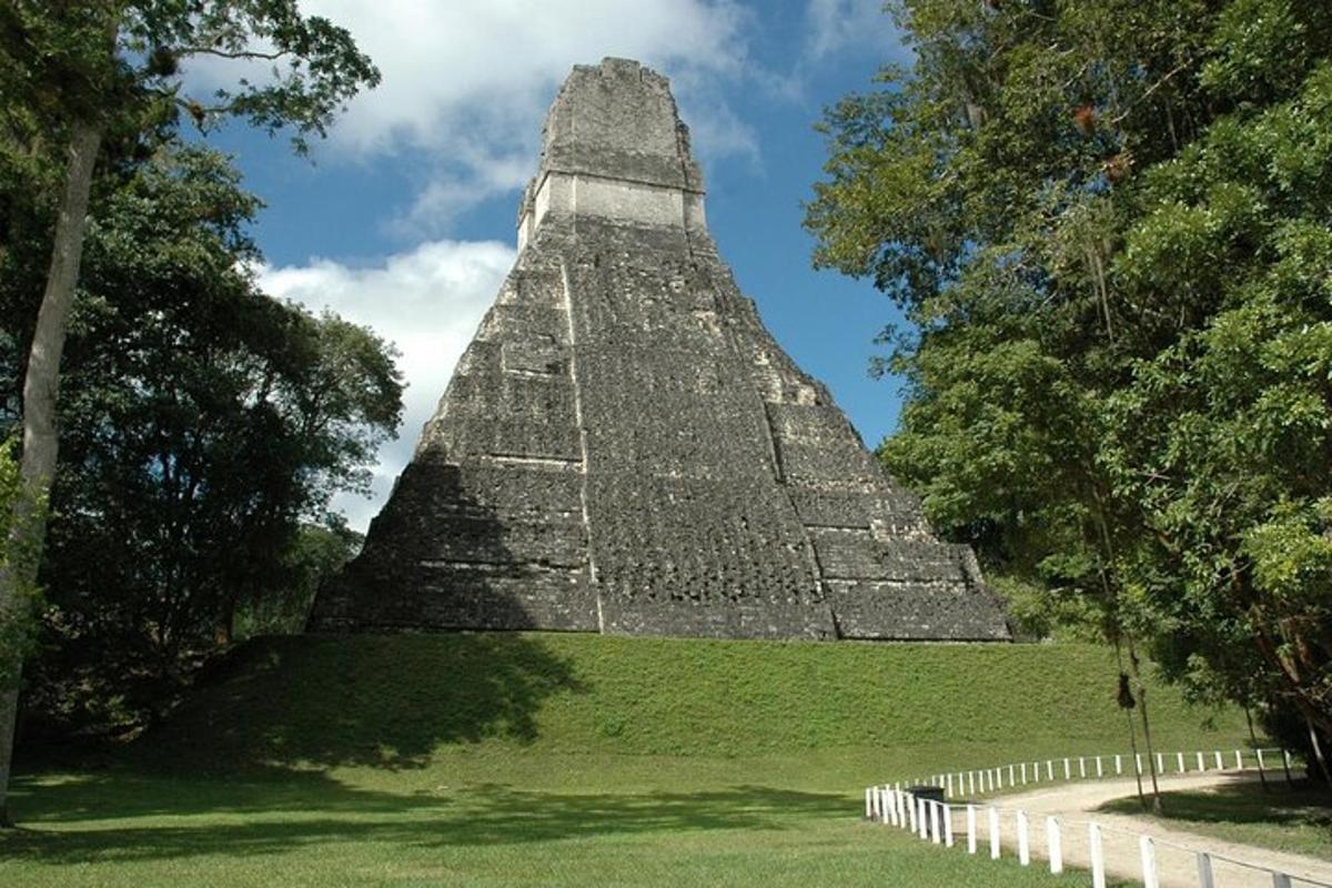 pyramida uprostřed pole se stromy