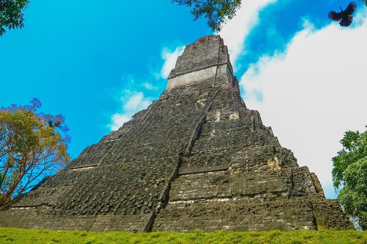 una piramide tra le rovine Maya