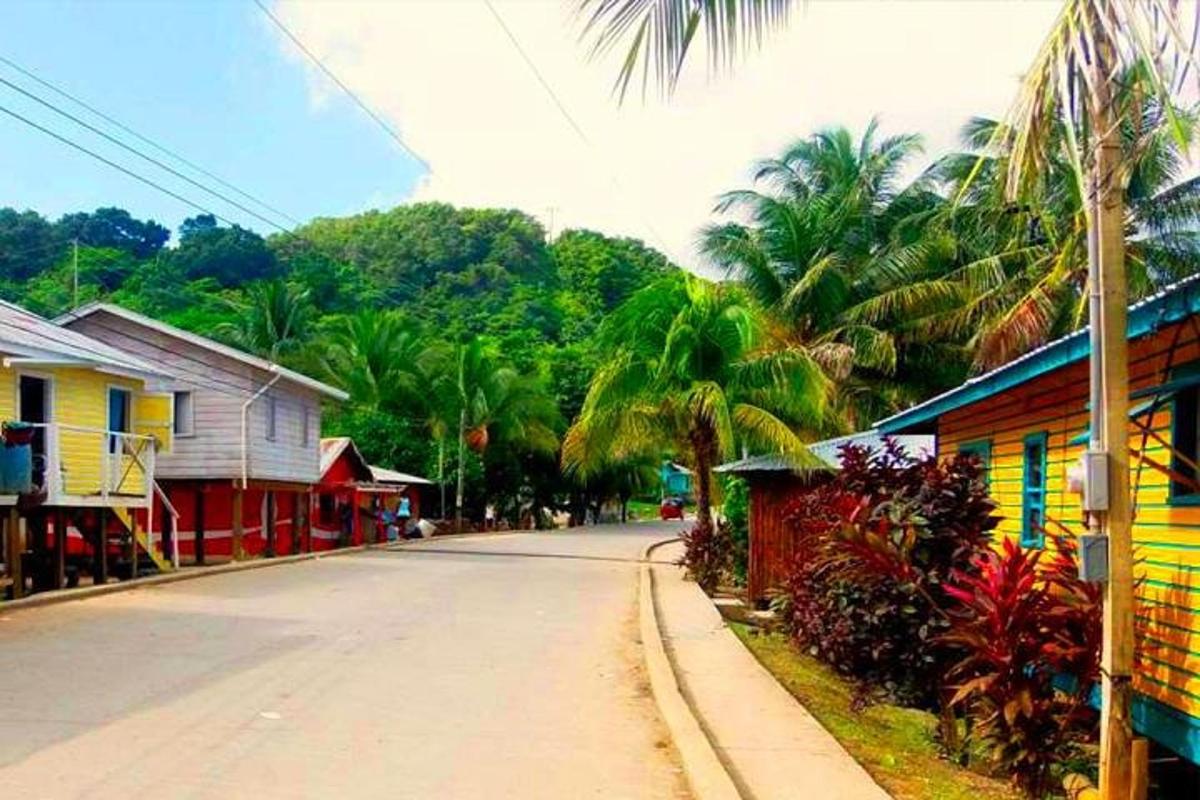 a street in a town with houses and palm trees