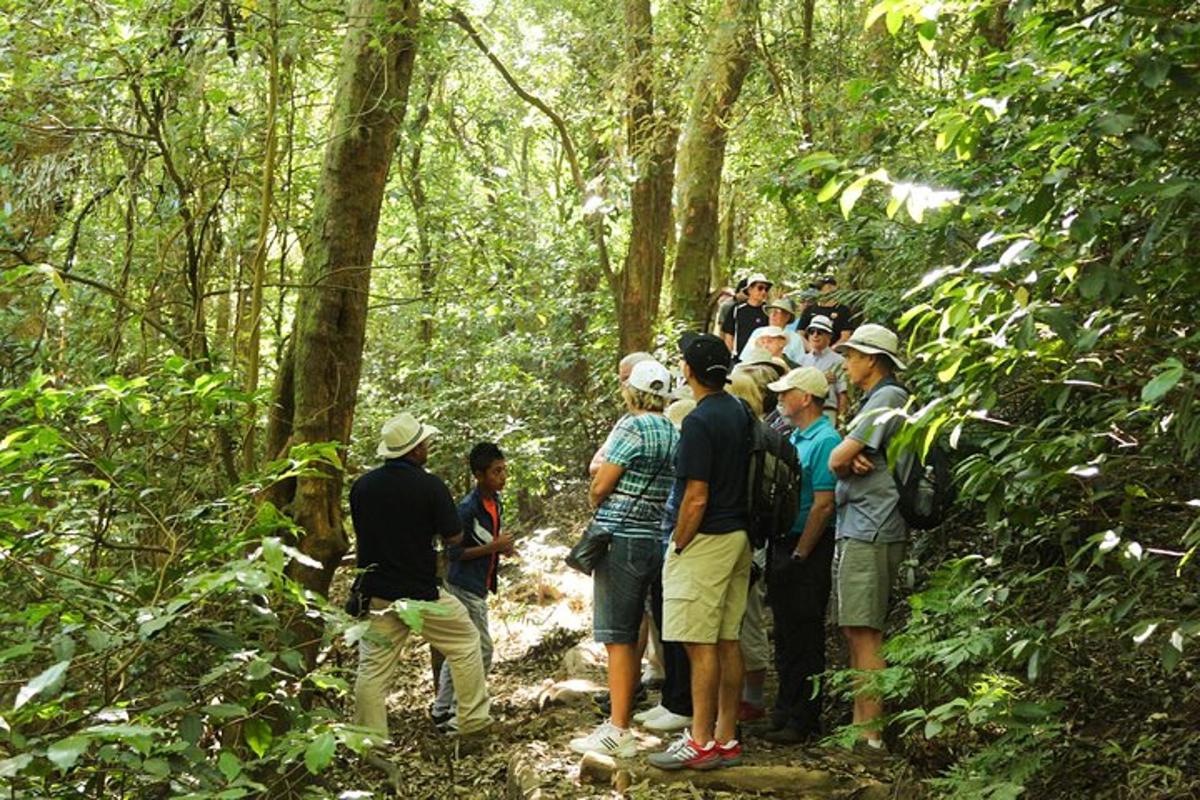 a group of people standing on a trail in the forest