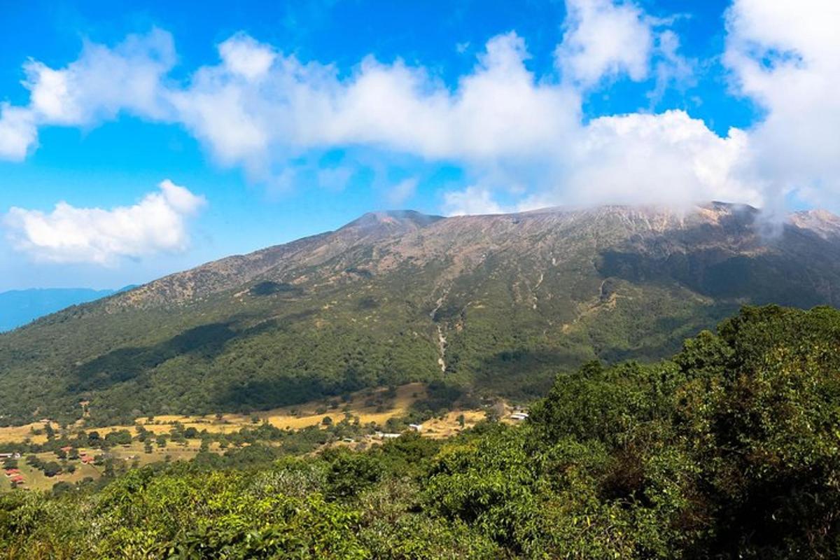 a view of a mountain with trees in front of it