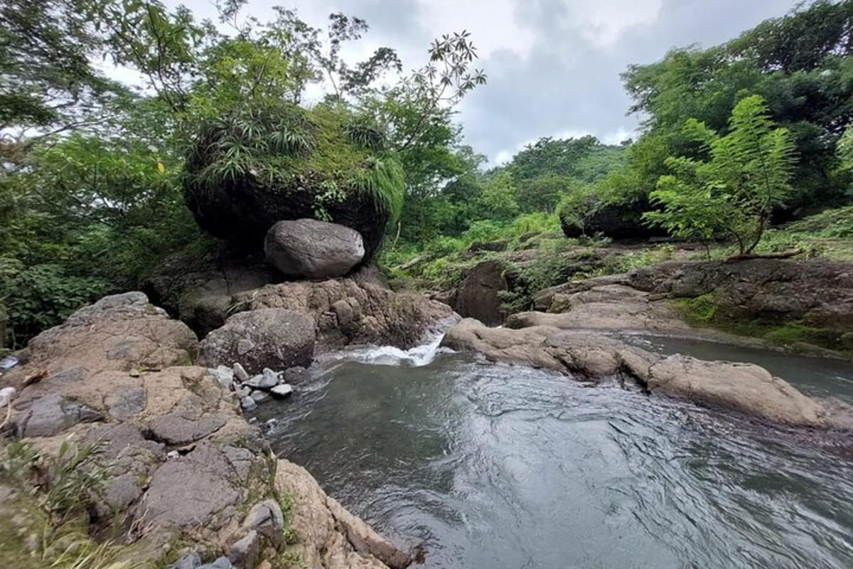 a river with rocks and trees on a hill
