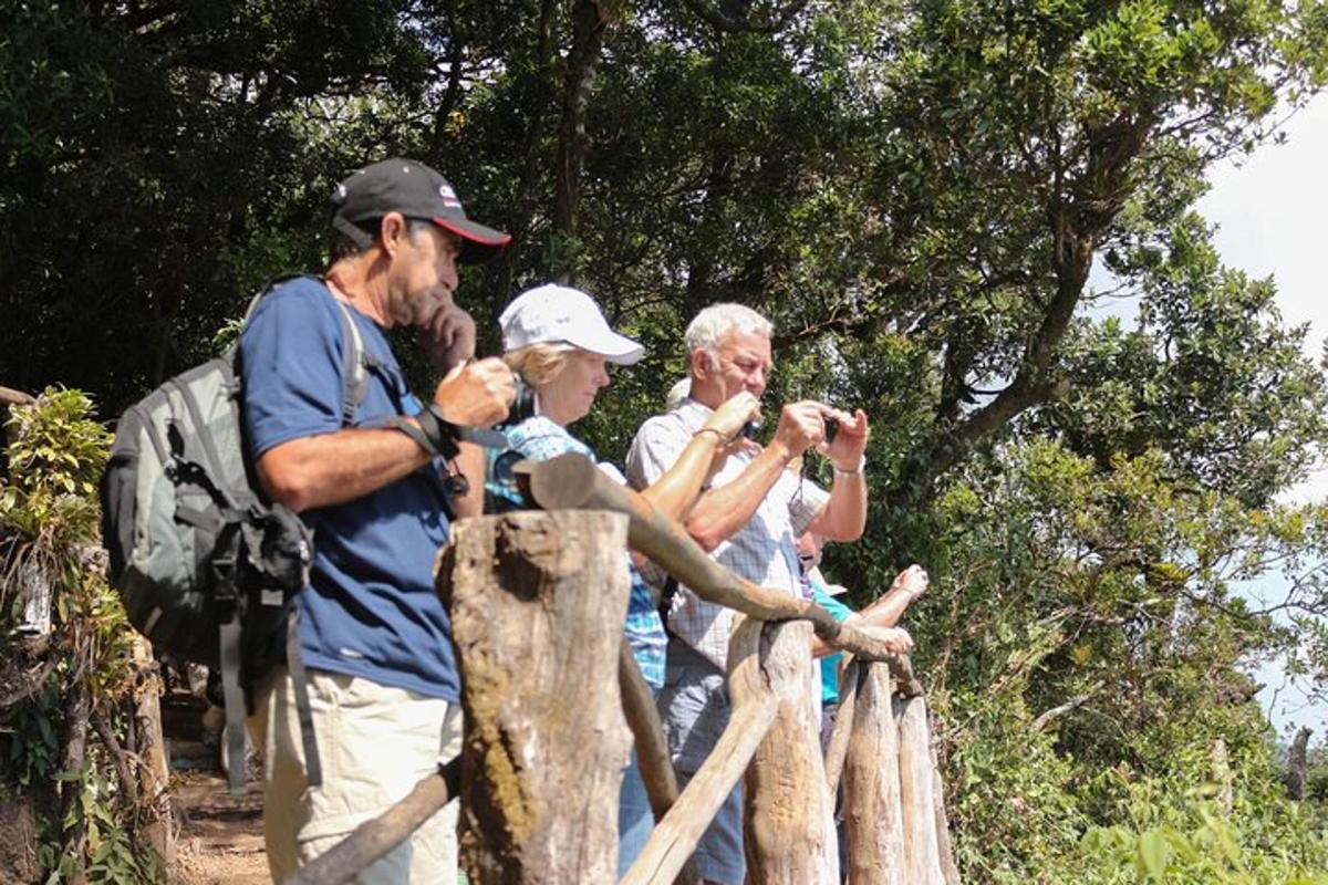 a group of people taking pictures of a giraffe