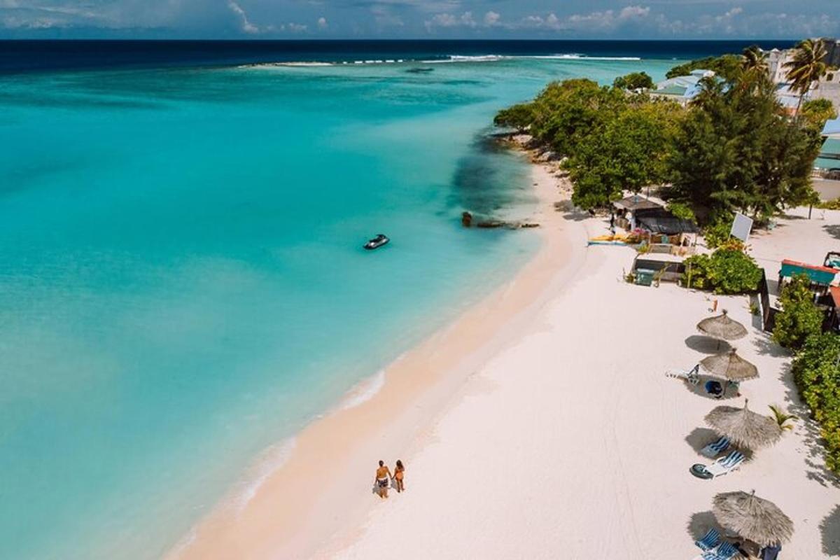 an aerial view of a beach with umbrellas and the ocean