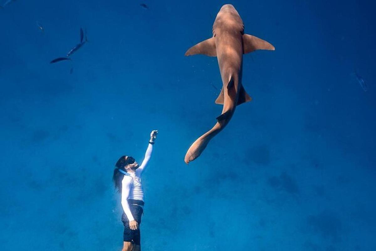 a woman standing next to a dolphin in the water