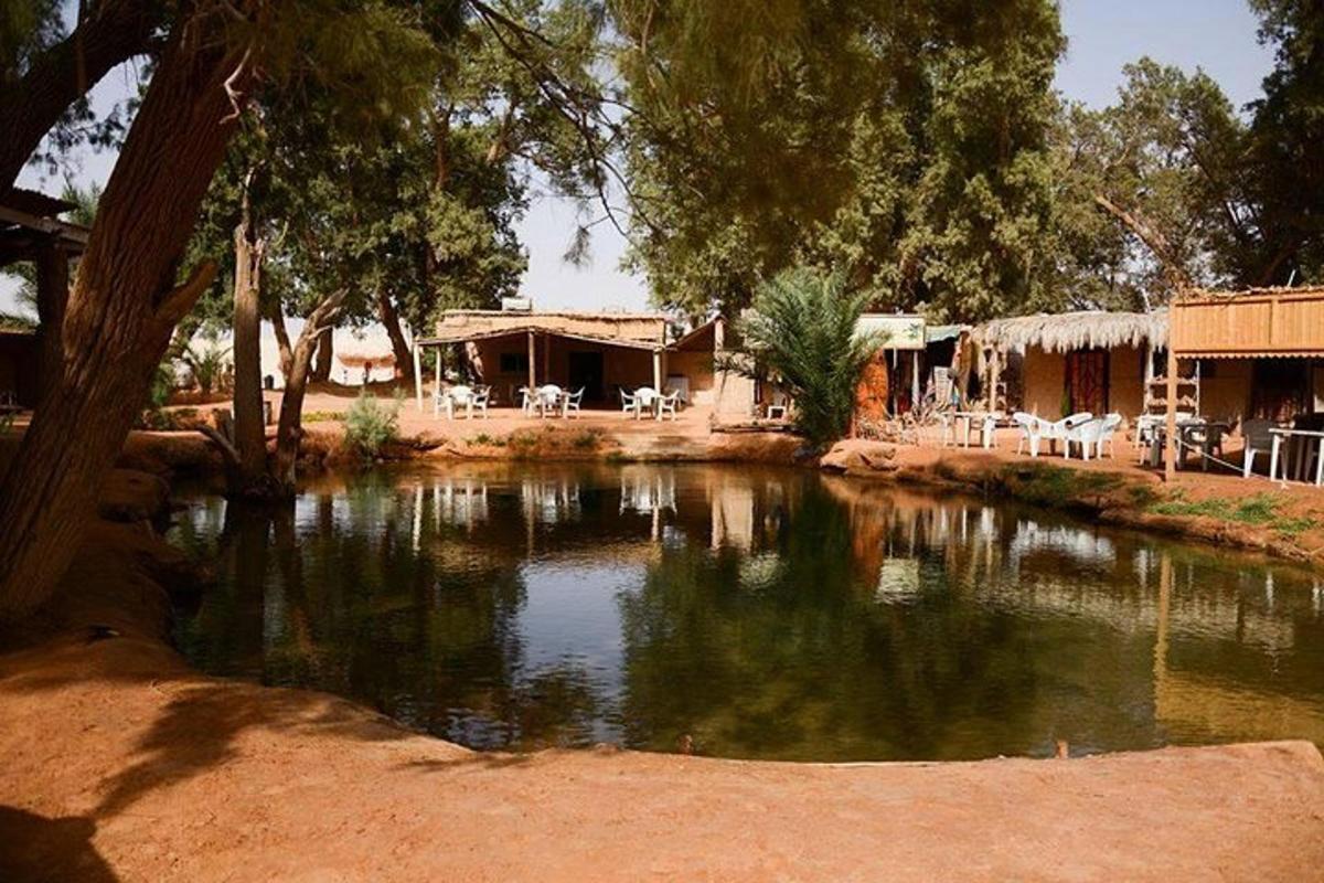 a pond of water in front of a house