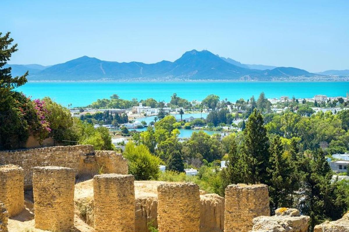 a view of the city and the water