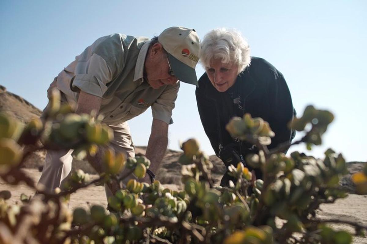two people looking at a bush in the desert