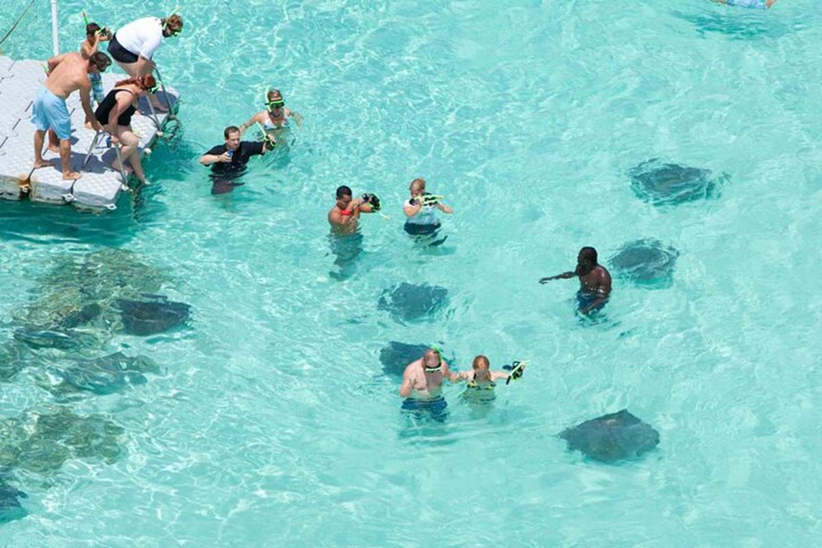 a group of people swimming in the water