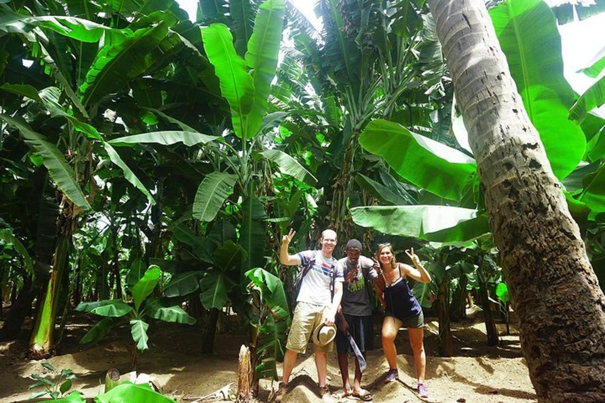a group of people standing in front of a palm tree