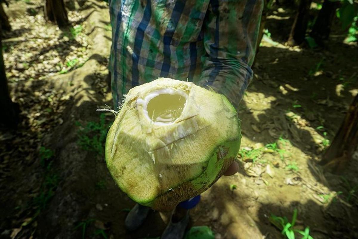 a person is holding a fish in their hand