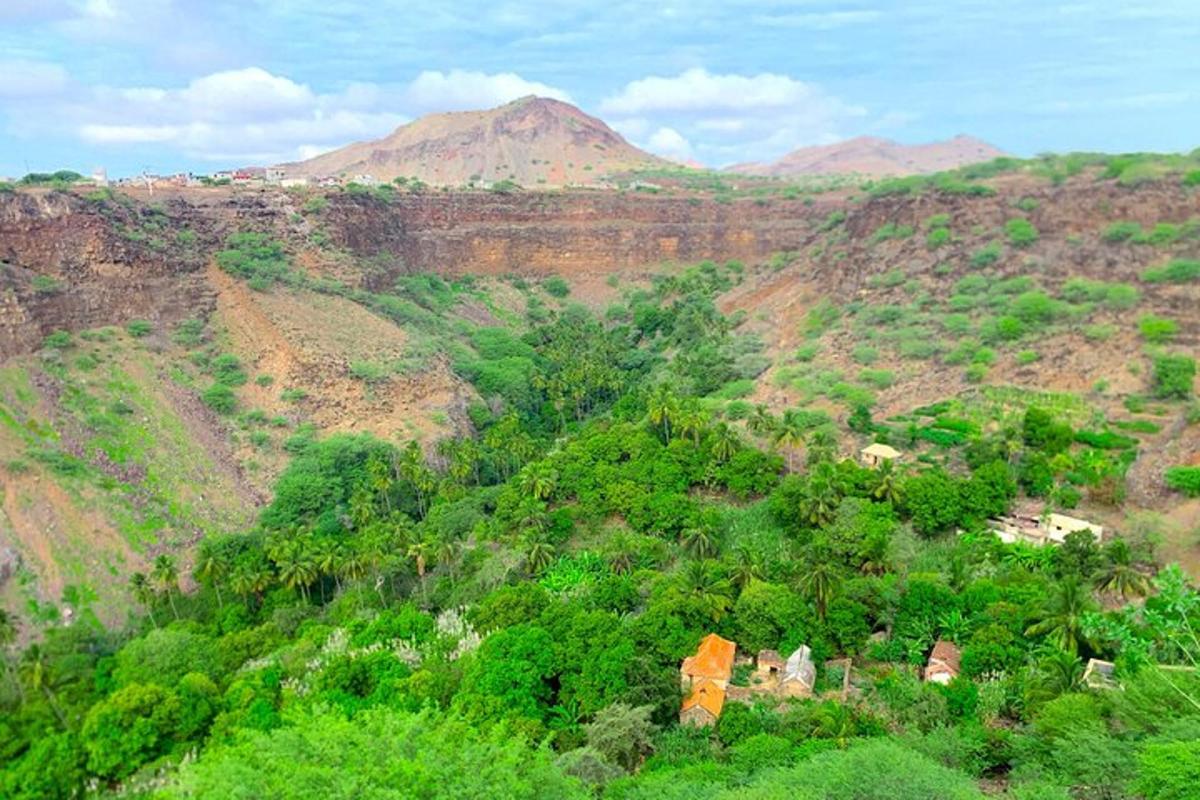 an aerial view of a mountain with trees and houses