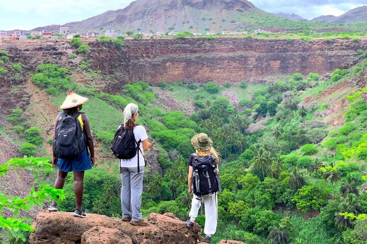 three people standing on a rock looking at a canyon