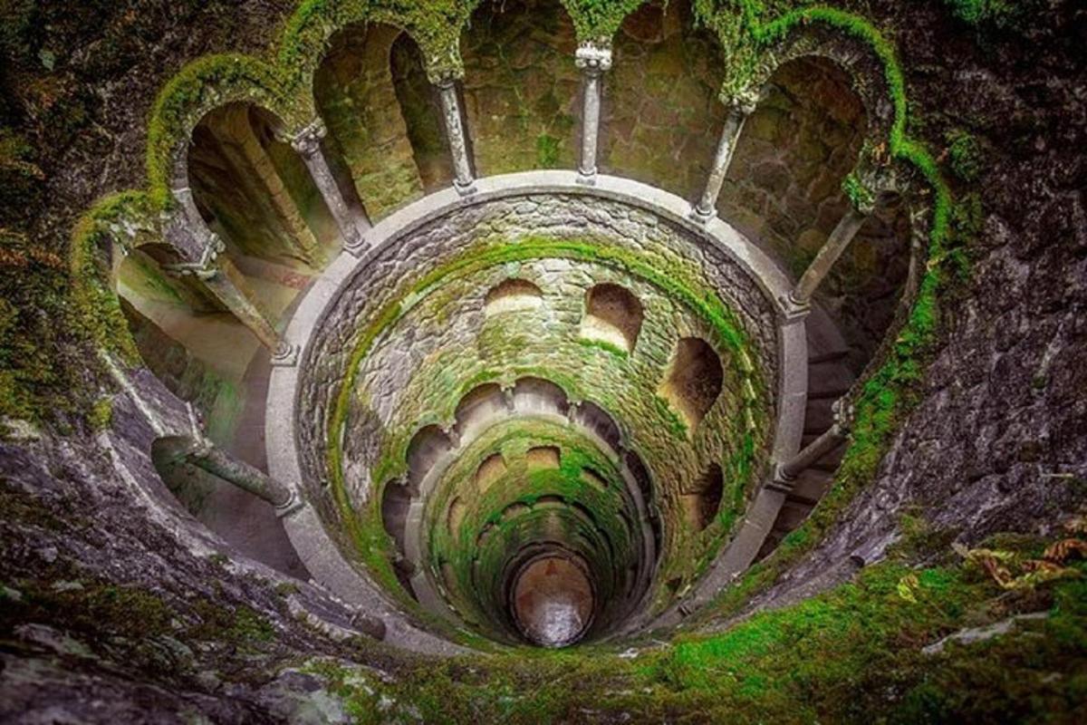 una vista d'un túnel amb molsa verda