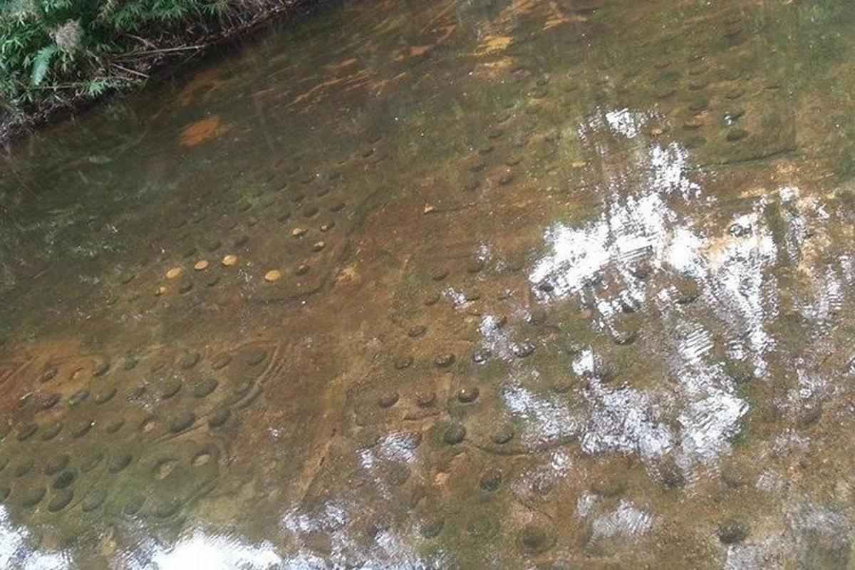 una massa d'aigua amb un munt de roques a dins