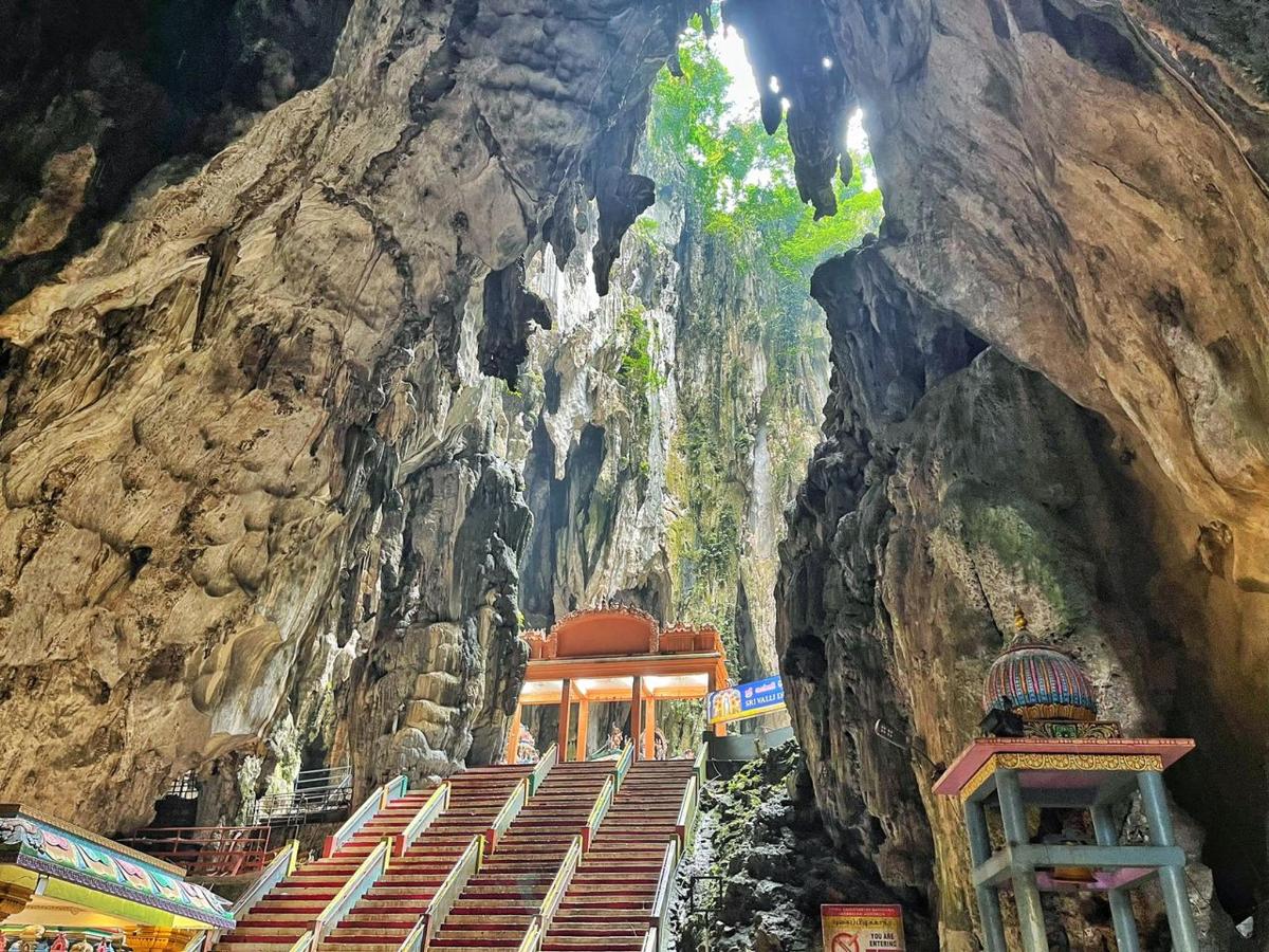 a train inside of a cave in a mountain