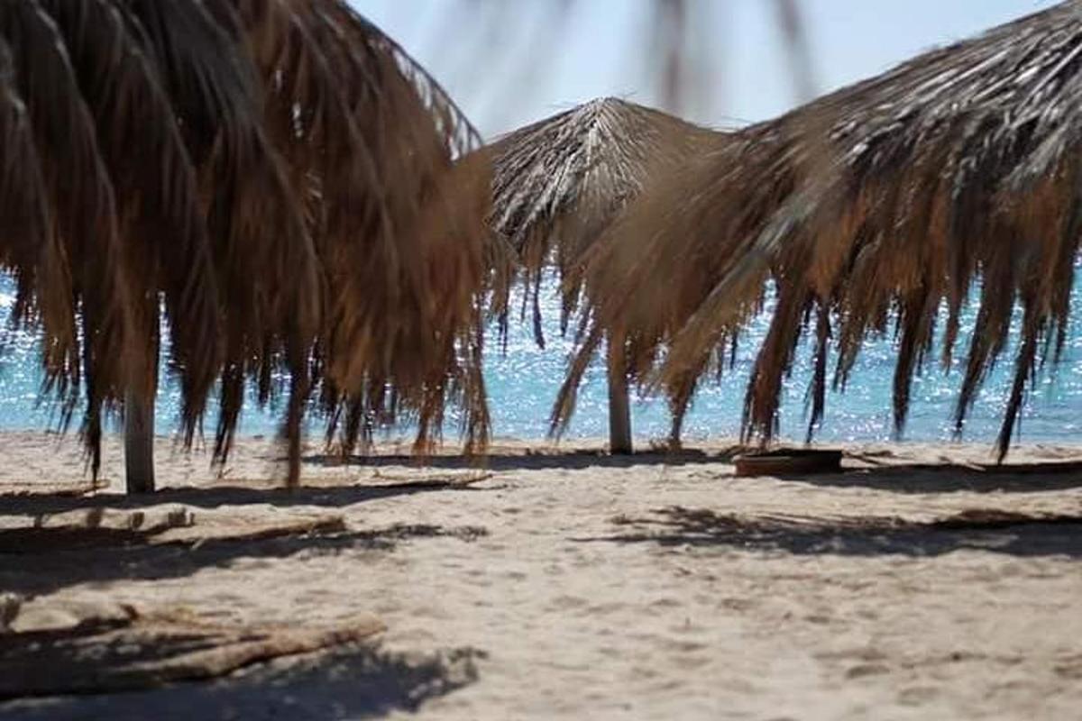 un gruppo di ombrelloni di paglia su una spiaggia sabbiosa