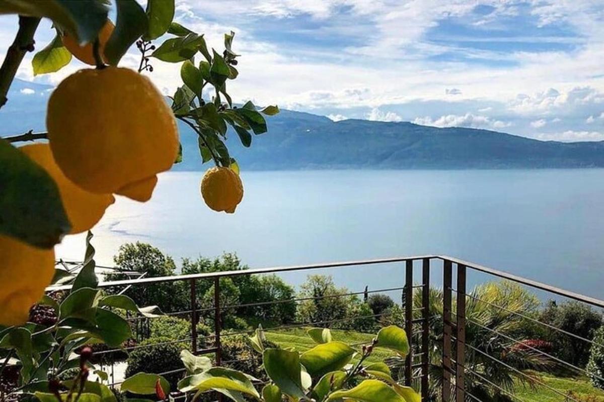una vista di uno specchio d'acqua da un albero di limone