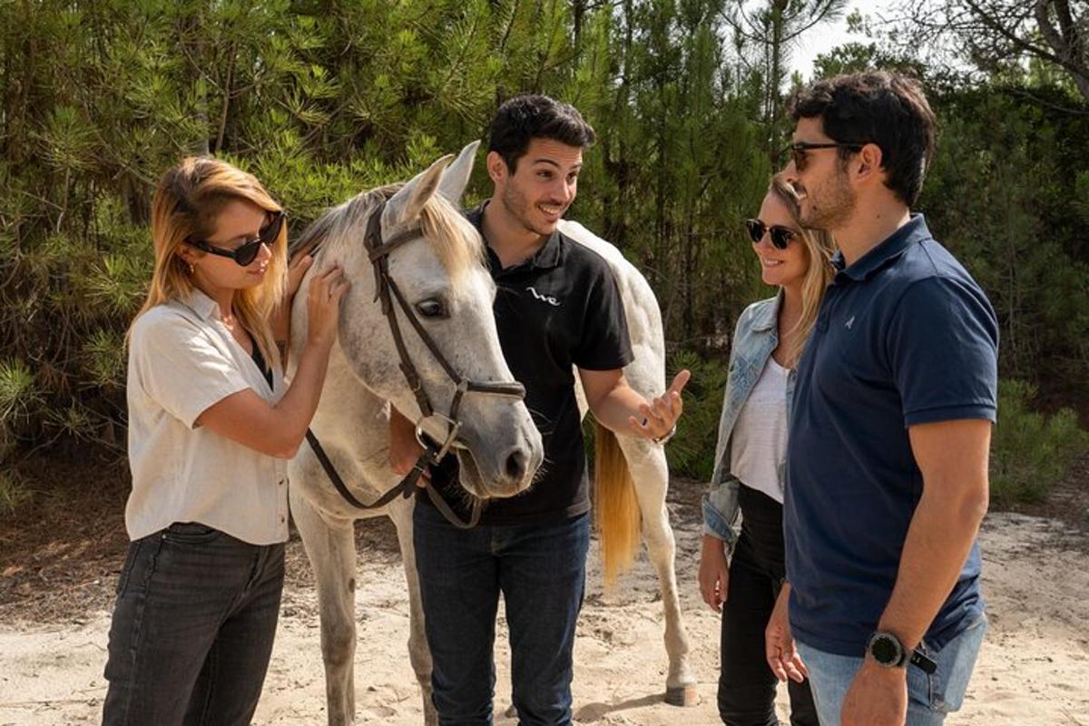 Un grupo de personas de pie alrededor de un caballo en la playa.