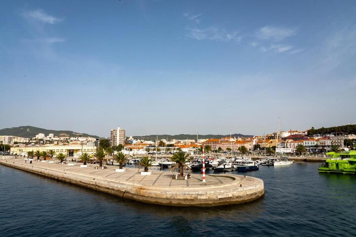 Un puerto deportivo con barcos en el agua y una ciudad