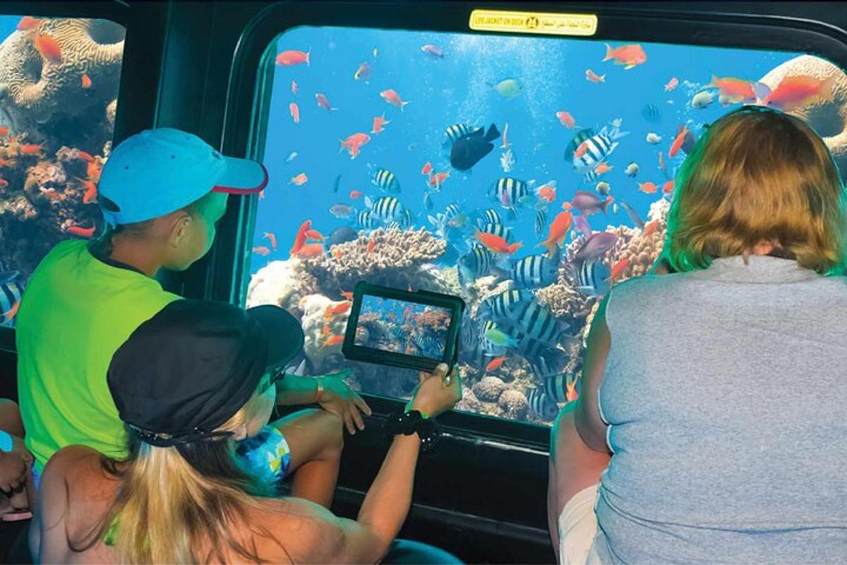 en gruppe mennesker som ser på fisken i et akvarium
