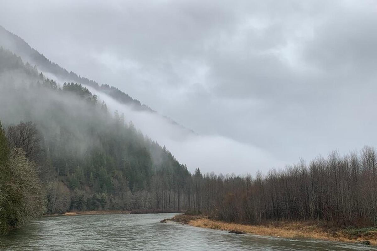 un fiume in mezzo a una foresta