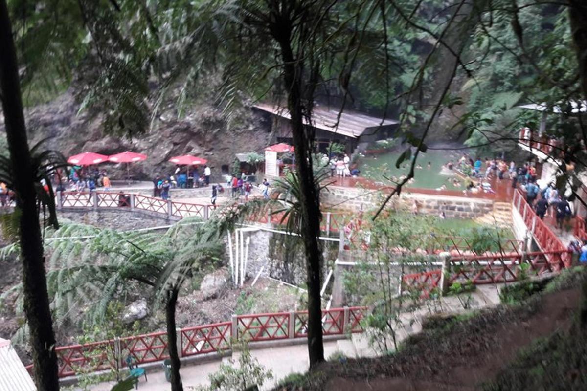 a group of people walking around a amusement park