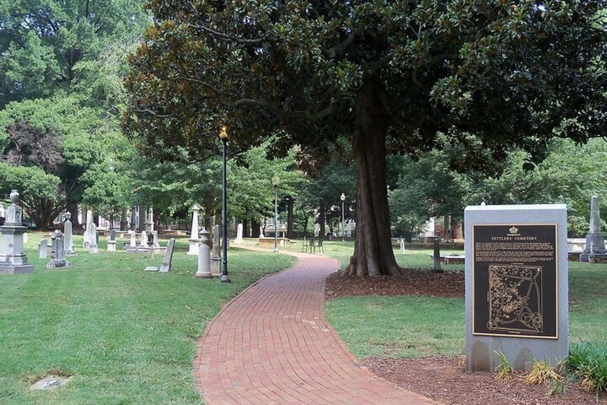 a path in a park with a tree and a sign